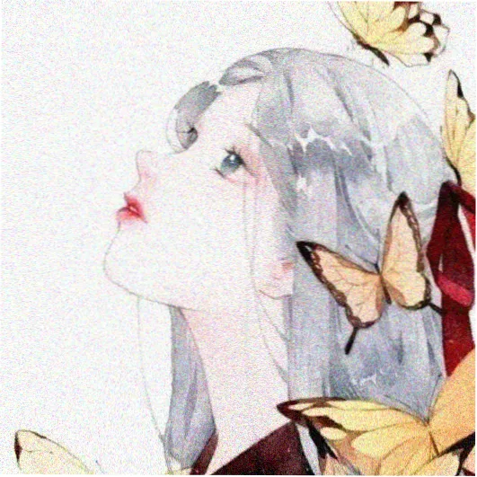 字幕组志愿候选人头像